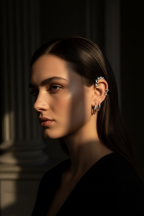 Dark Luxury Earrings Fashion